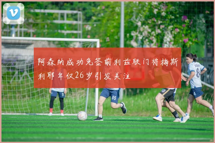 阿森纳成功免签前利兹联门将梅斯利耶年仅26岁引发关注