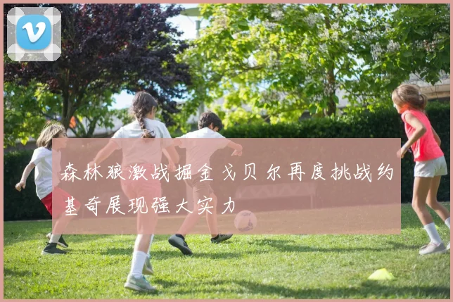 森林狼激战掘金戈贝尔再度挑战约基奇展现强大实力