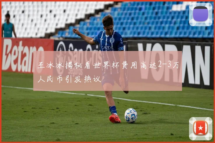 王冰冰揭秘看世界杯费用高达2-3万人民币引发热议